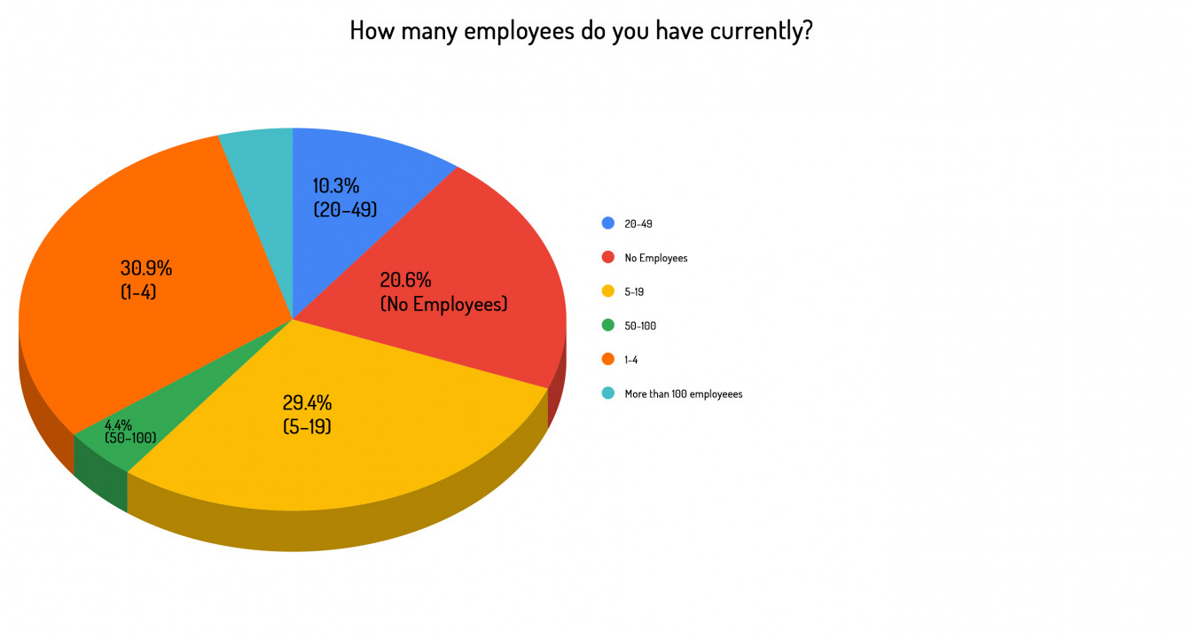 02 How many employees do you have currently