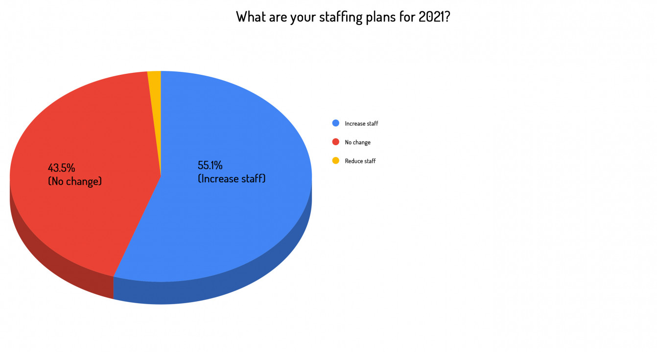 03 What are your staffing plans for 2021