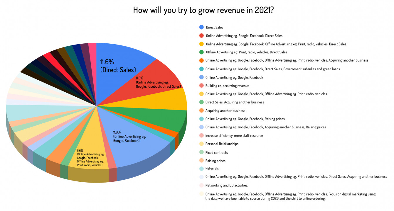 06 How will you try to grow revenue in 2022