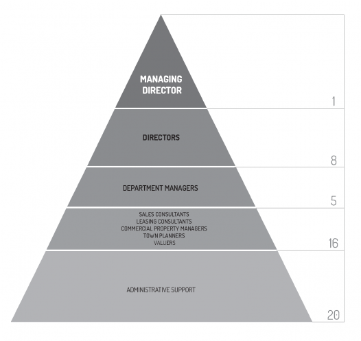 Company Structure