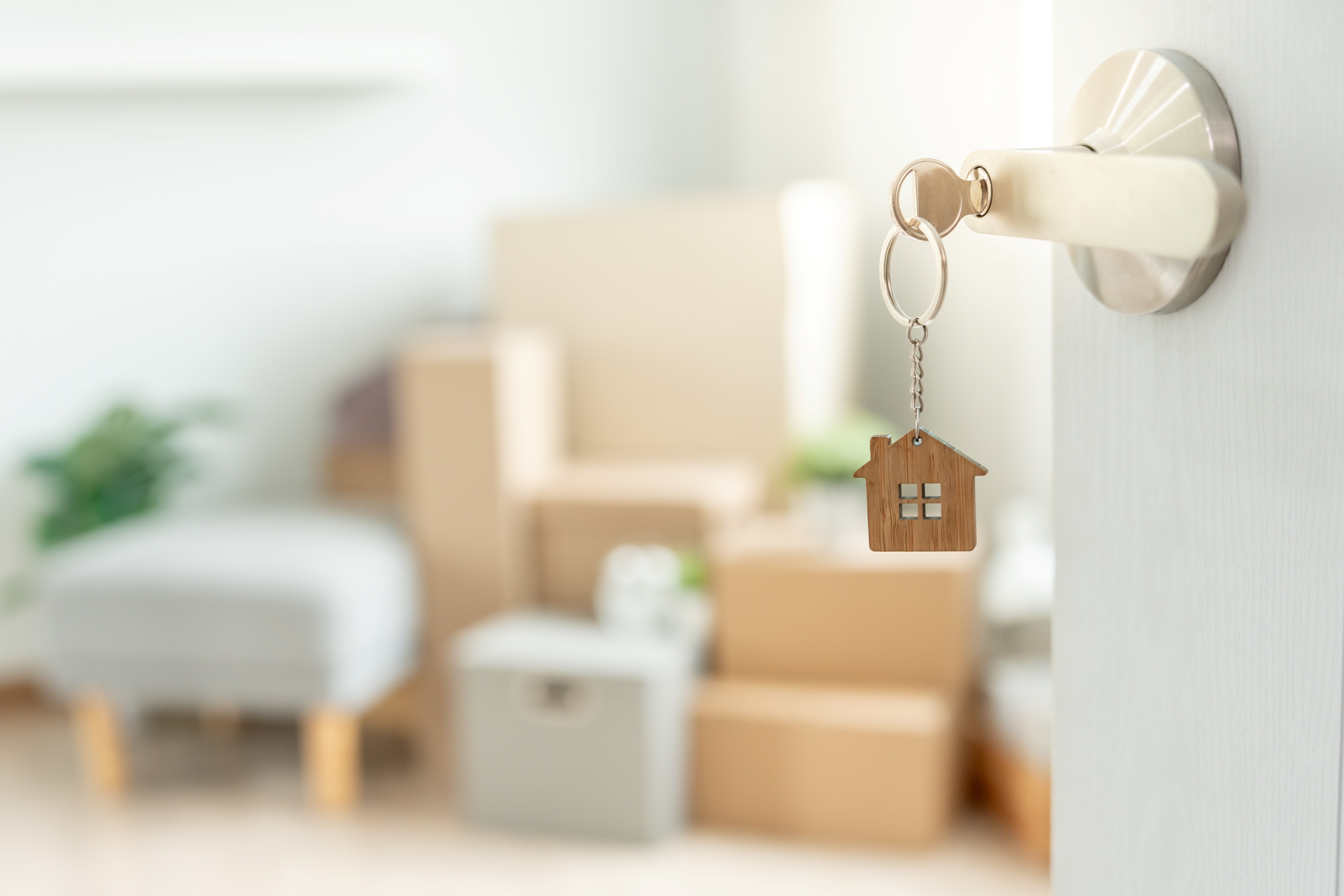 Big Changes for NSW Renters and Landlords: What You Need to Know About the New Rental Laws Now in Effect 
