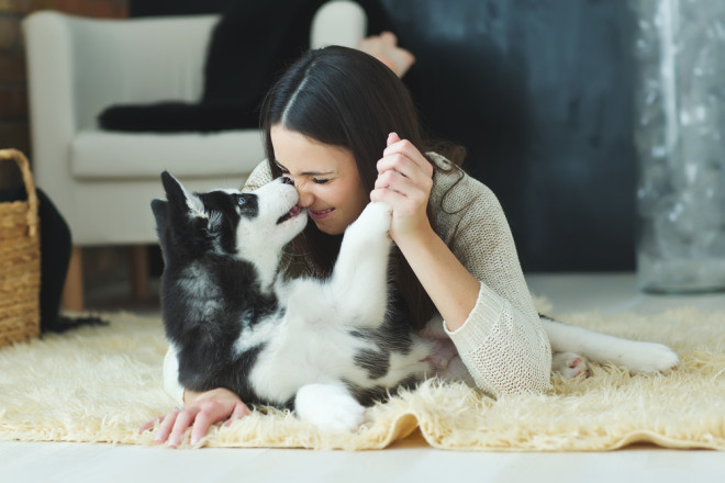 Renting with Pets in NSW. What You Need to Know (Updated)