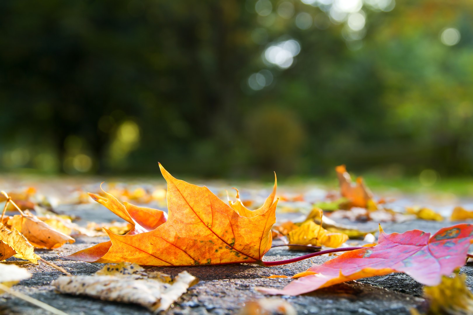 How to sell your property in Autumn